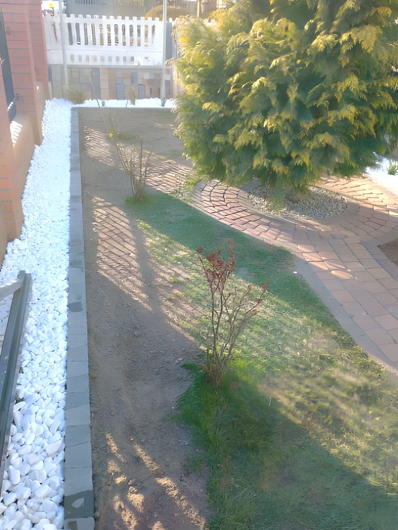 Ogród z nasadzeniami i kostką